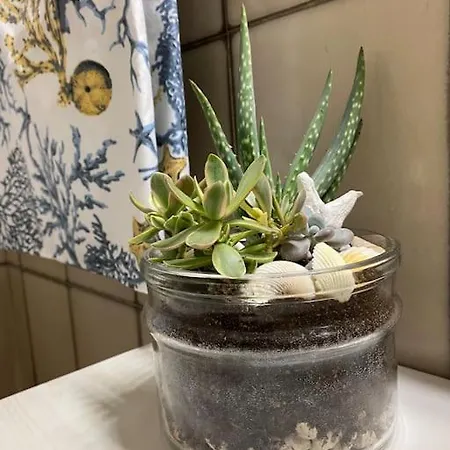 Naxos Dream Bay Appartement *