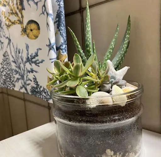 Naxos Dream Bay Apartament *